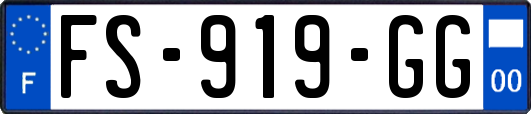 FS-919-GG