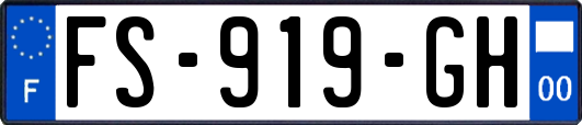 FS-919-GH