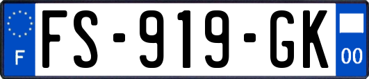 FS-919-GK