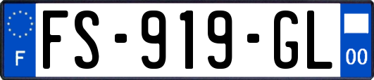 FS-919-GL