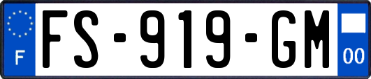 FS-919-GM