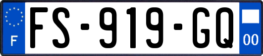 FS-919-GQ