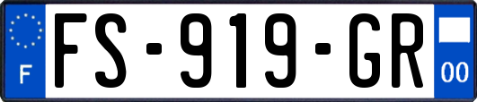 FS-919-GR