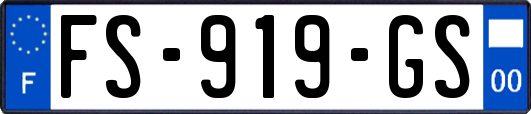 FS-919-GS