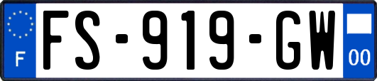 FS-919-GW