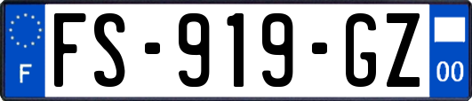 FS-919-GZ