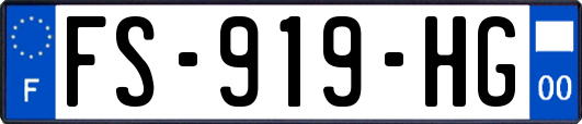FS-919-HG