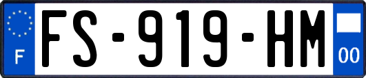 FS-919-HM
