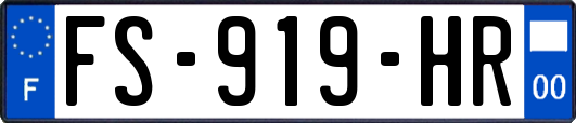 FS-919-HR