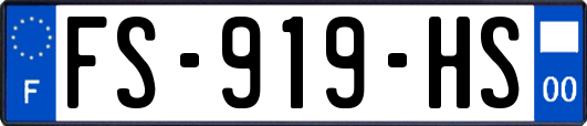 FS-919-HS