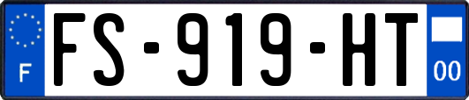 FS-919-HT