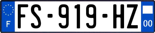 FS-919-HZ