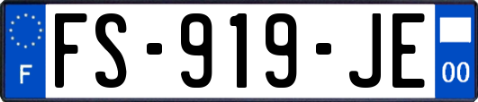 FS-919-JE