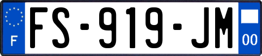 FS-919-JM