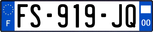 FS-919-JQ