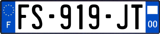 FS-919-JT