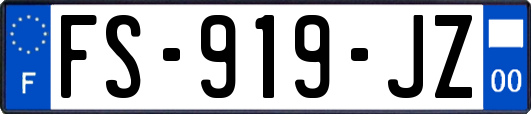 FS-919-JZ