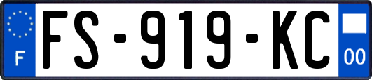 FS-919-KC
