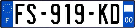 FS-919-KD