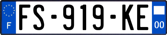 FS-919-KE