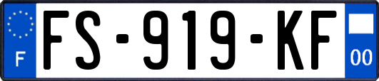 FS-919-KF
