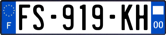 FS-919-KH