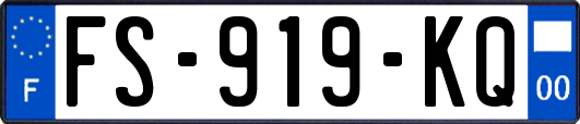 FS-919-KQ