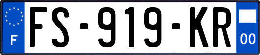 FS-919-KR
