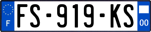 FS-919-KS