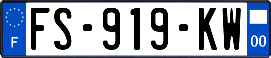 FS-919-KW