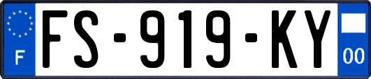 FS-919-KY