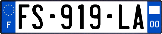 FS-919-LA