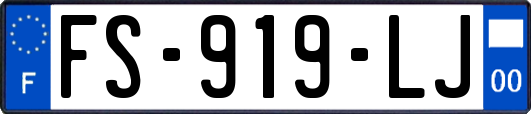 FS-919-LJ