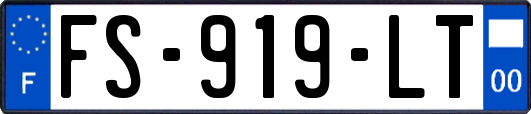 FS-919-LT