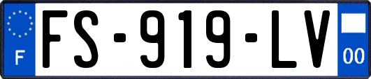 FS-919-LV
