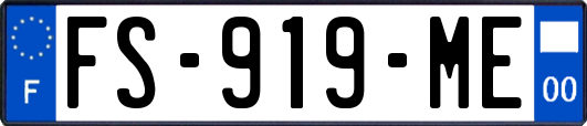 FS-919-ME