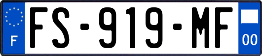 FS-919-MF