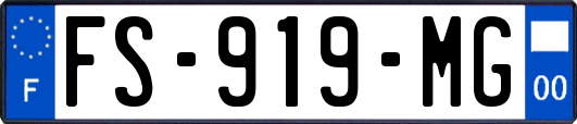 FS-919-MG