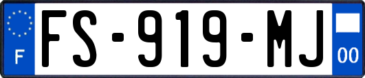 FS-919-MJ