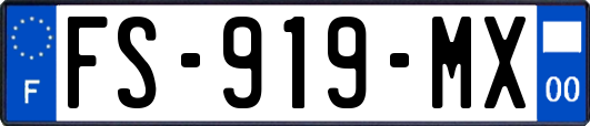 FS-919-MX