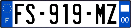 FS-919-MZ