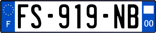 FS-919-NB