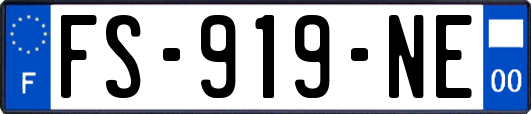 FS-919-NE