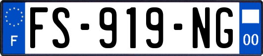 FS-919-NG