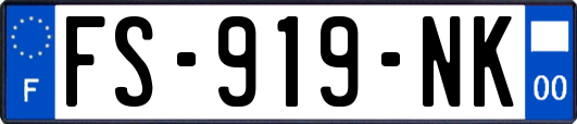 FS-919-NK