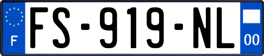 FS-919-NL