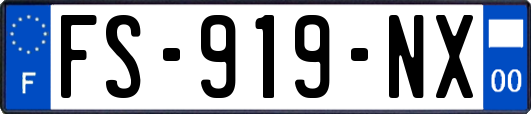 FS-919-NX