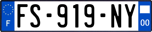 FS-919-NY