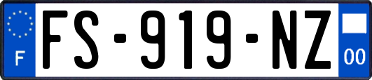 FS-919-NZ