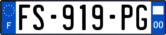 FS-919-PG
